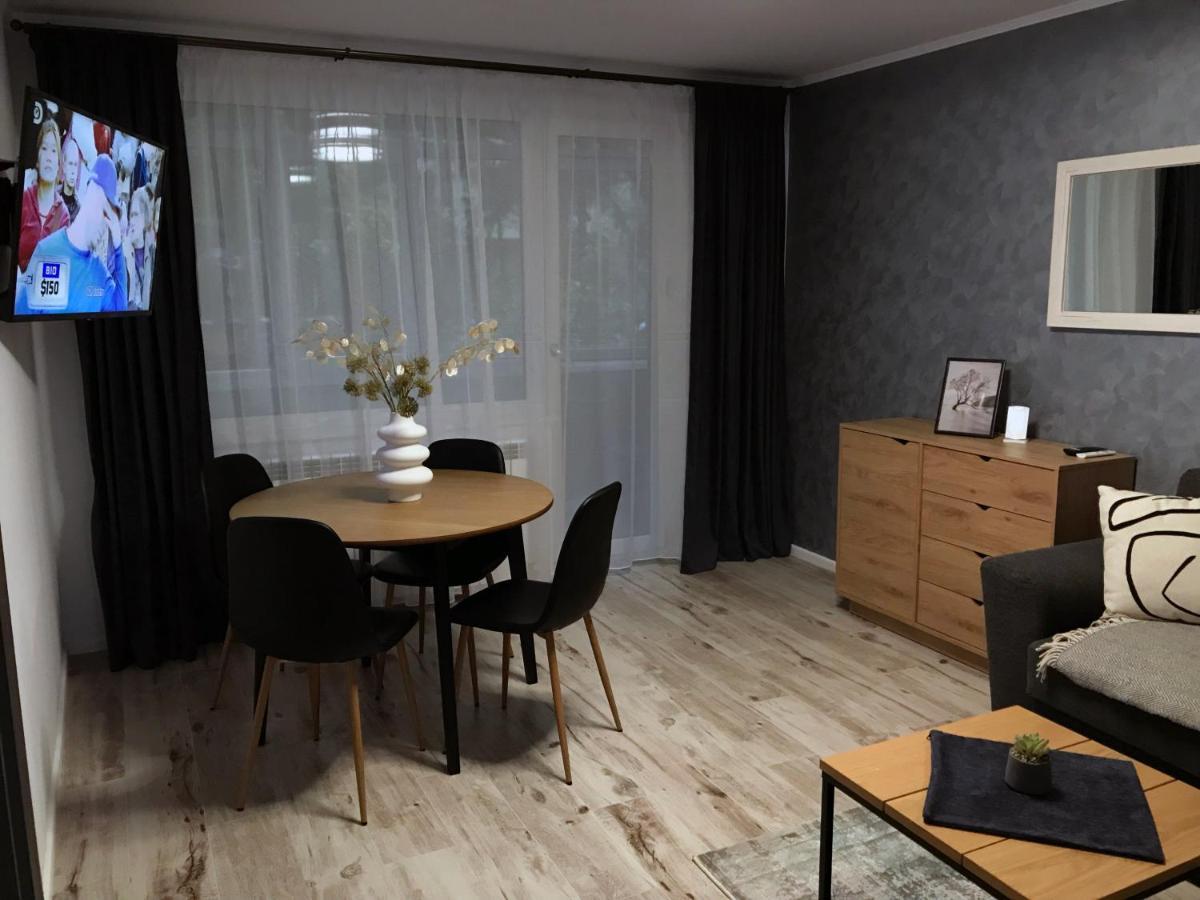 Homely Apartment Suceava Exterior foto